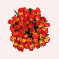 Catch Flame - Catch Rozen