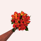 Catch Rozen - Catch Flame