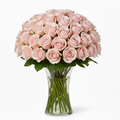 Roze Rozen