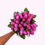 Roze Rozen - Maritime Pink