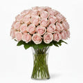 Roze Rozen