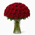 Rode Rozen