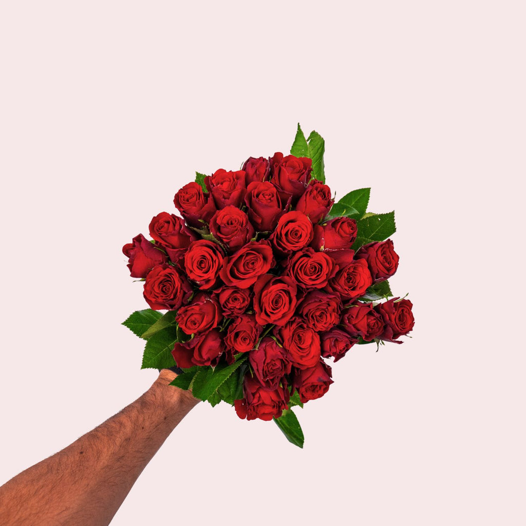 Ruby Royal - Rode Rozen