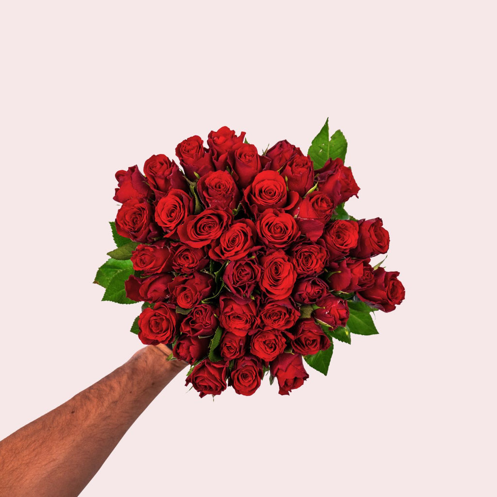 Ruby Royal - Rode Rozen