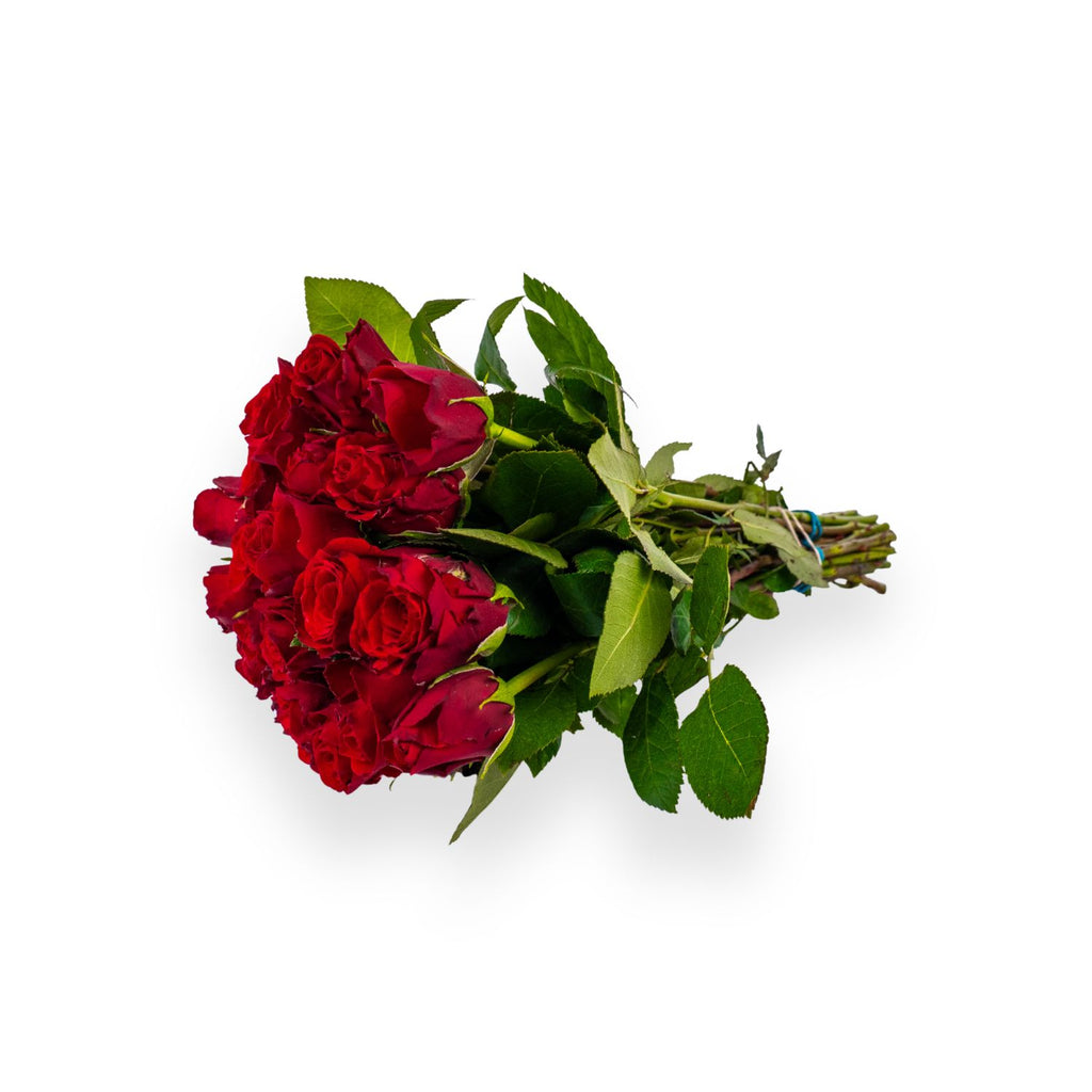 Ruby Royal - Rode Rozen