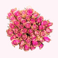 Bella Blush - Roze Rozen