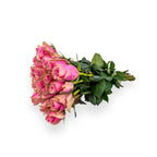 Bella Blush - Roze Rozen