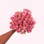 Bella Blush - Roze Rozen