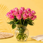 Bella Blush - Roze Rozen