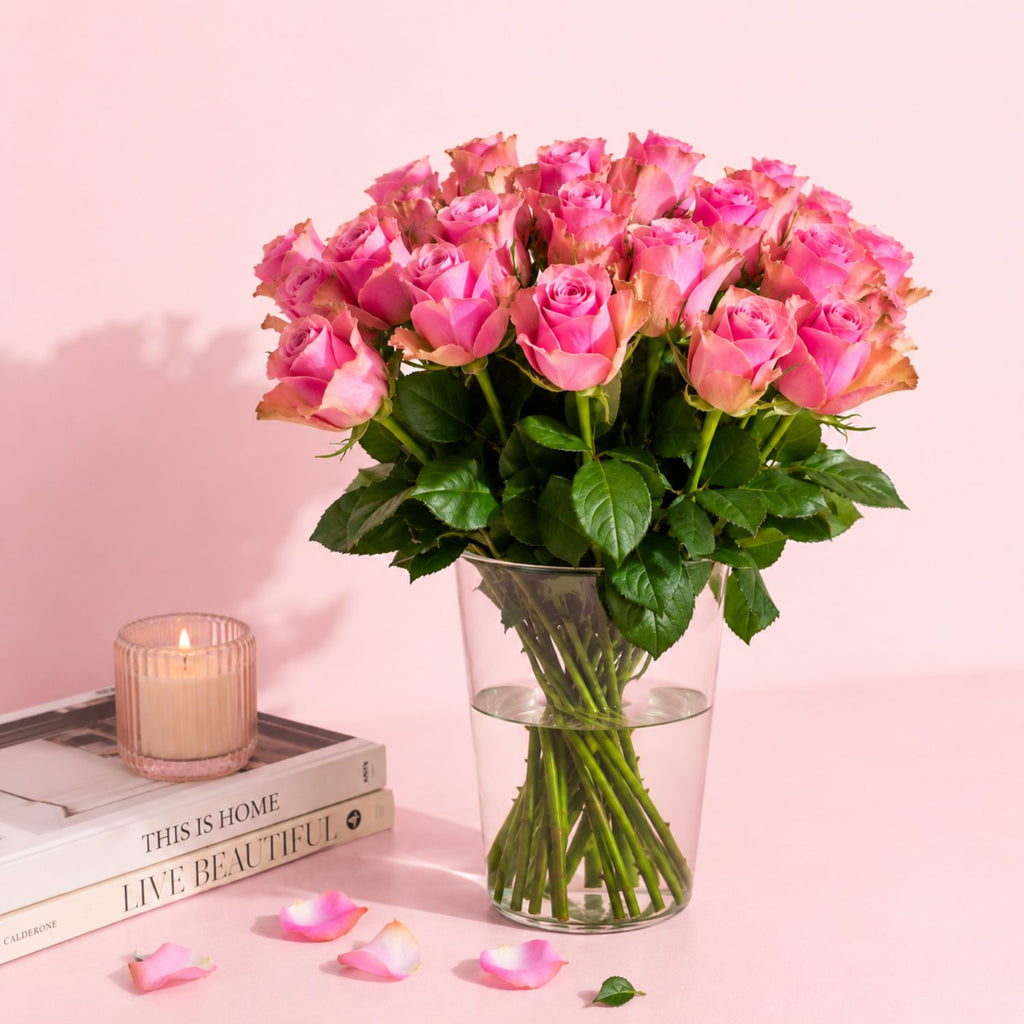 Bella Blush - Roze Rozen