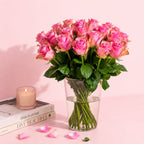 Bella Blush - Roze Rozen