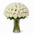 Witte Rozen