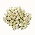 Athena Royal - Witte Rozen