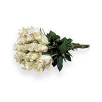 Athena Royal - Witte Rozen
