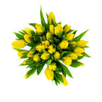 Verse Gele Tulpen