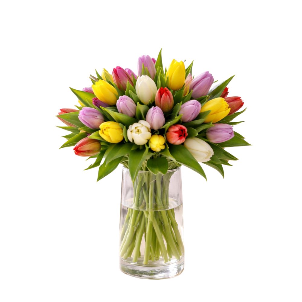Verse Mixkleur Tulpen