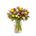 Verse Mixkleur Tulpen