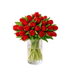 Verse rode tulpen