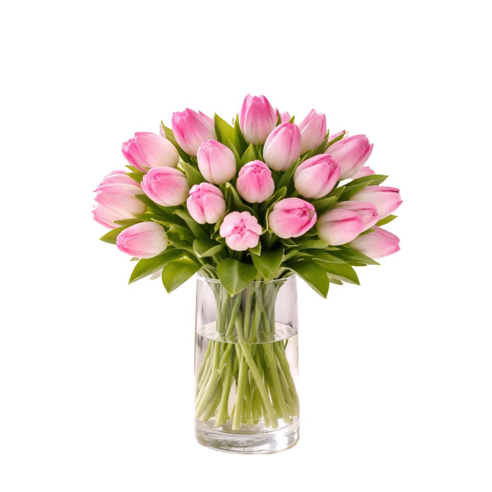 Verse Roze Tulpen
