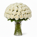 Witte Rozen